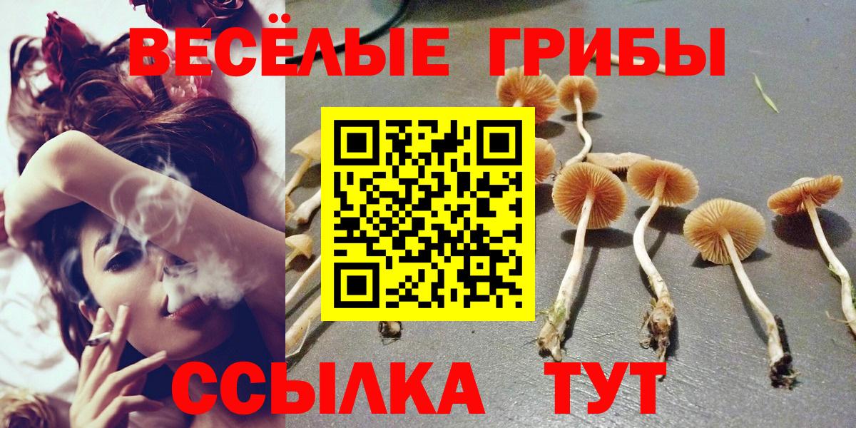 Псилоцибиновые грибы Psilocybe  Вход с VPN  Серпухов  Галлюциногенные грибы Cubensis 